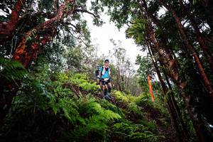 BIB: 
                            <button type="button" onclick="openModal(26202015)" class="btn btn-primary btn-sm float-right btn-popup" data-toggle="modal" data-target=".modal-high-quality">
                        <i class="fas fa-shopping-cart"></i> Add to Cart
                    </button>
                                            <button type="button" onclick="isThisMe(26202015, true)" class="btn btn-success btn-sm float-right btn-popup btn-isme hidden" data-toggle="tooltip" data-placement="bottom" title="นี่คือรูปของคุณใช่ไหม คลิกที่นี่เพื่อเอาเข้าอัลบั้ม">
                        <i class="fas fa-plus"></i> Add to album
                    </button>
                    <button type="button" onclick="isThisMe(26202015, false)" class="btn btn-warning btn-sm float-right btn-popup btn-isnotme hidden">
                        <i class="fas fa-ban"></i> Remove from album
                    </button>